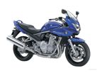 Susuki Bnadit 650